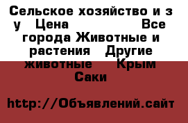 Сельское хозяйство и з/у › Цена ­ 2 500 000 - Все города Животные и растения » Другие животные   . Крым,Саки